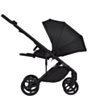 Детская коляска Anex Eli Midnight 2 в 1