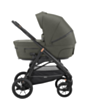 Детская коляска Inglesina Aptica XT Sequoia 