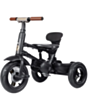 Uşaq velosipedi QPlay S380-17 Rito Deluxe 5061047480281