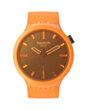 Saat Swatch SB05O102