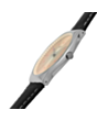 Часы Swatch Skin SS07S118