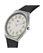 Часы Swatch Skin SS07S134