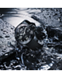 Saat Longines Diving L37844569