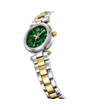 Saat Roche Montre RML5006-04