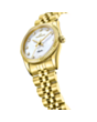 Часы Roche Montre RML5013-06