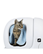 Pərdə Petkit P9902C