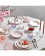 Serviz dəsti Schafer Sakura 70 parça 8699131914533