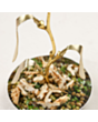 Çərəzlik Jumbo Leaf 11219 8681085385927