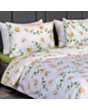Tekstil yataq dəsti Deluca Luxora CK