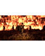 Disk PlayStation 5 (Forspoken)
